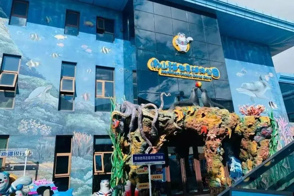 篮球训练海报图片_1